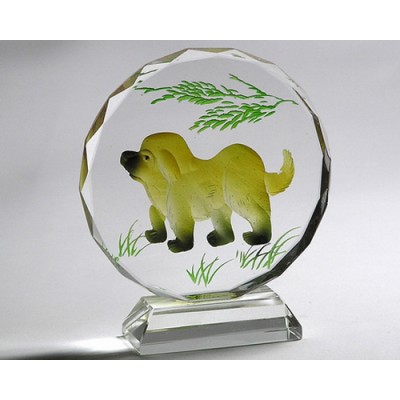 CRYSTAL IMAGE-IGT-CP0002